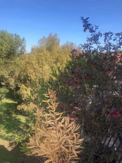 הוילה רומא Casa Incantevole Con Vista Parco Appia Antica מראה חיצוני תמונה